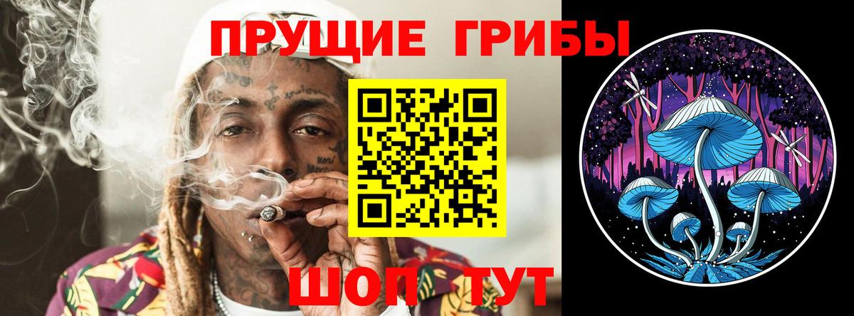 Усть-Илимск  Галлюциногенные грибы Psilocybine cubensis  Вход с VPN 